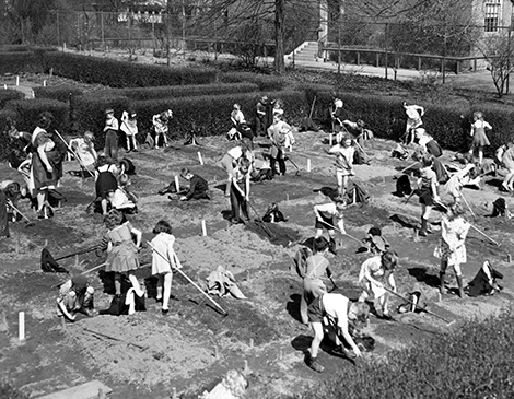 Ben Franklin School Garden Ben Franklin School Garden