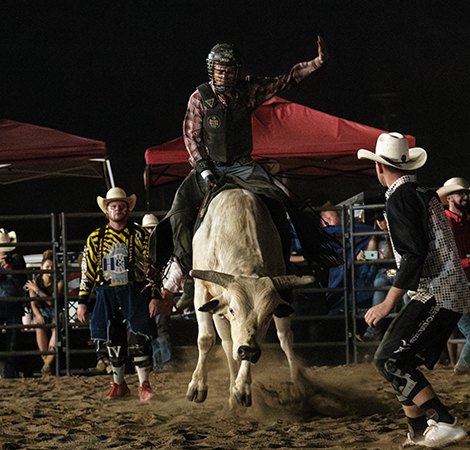 Buckin’ Ohio Brings Rodeo to the Medina County Fair