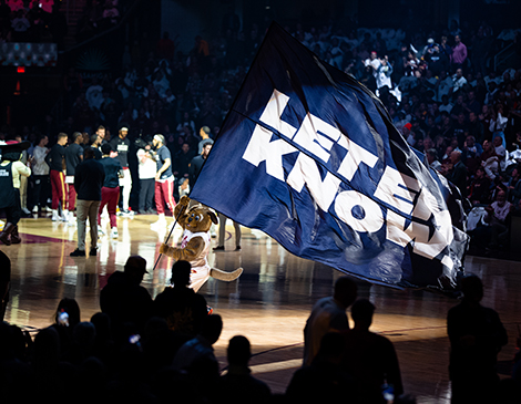 cavs cavs