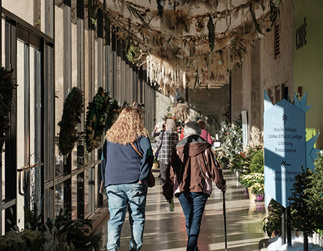 Cleveland Botanical Garden Transforms into Winter Wonderland with Frost Experience