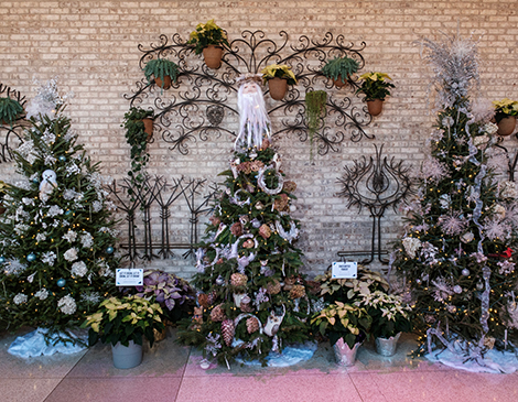 Cleveland Botanical Garden Transforms into Winter Wonderland with Frost Experience