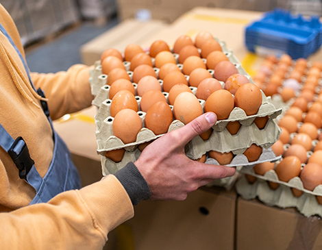 egg prices bird flu cleveland restaurants egg prices bird flu cleveland restaurants
