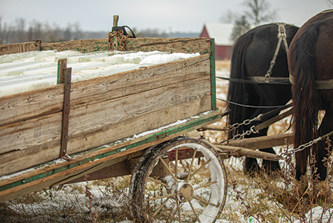 Ice blocks loaded up and ready to be taken away via horses.