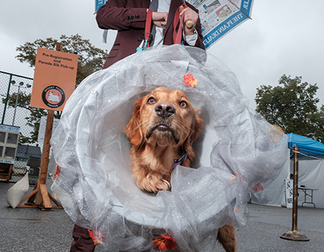 Lakewood Spooky Pooch 2023