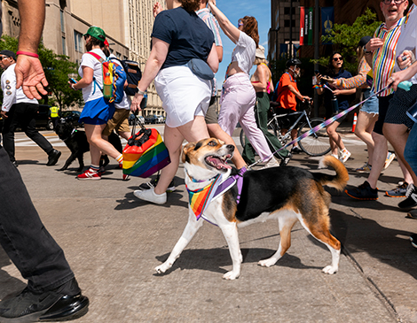 Pride in the CLE: Photos