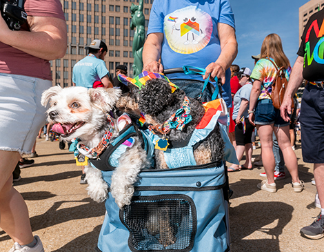 Pride in the CLE: Photos