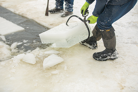 Two Amish men harvest ice. 