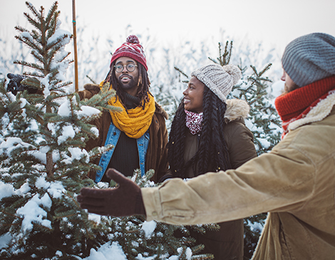 Christmas Tree Decorating Tips Christmas Tree Decorating Tips