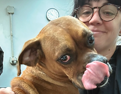 West-Article-Style-Mutt Person with brown dog