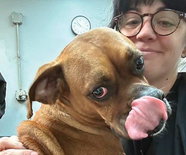 Person with brown dog