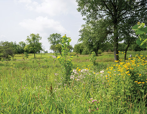 06-MasterPlan-article Green space in Brooklyn