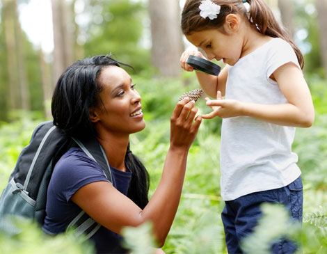 Woman and Child Looking at Pine Cone Woman and Child Looking at Pine Cone
