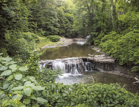 Bath Nature Preserve Bath Nature Preserve