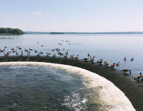 Pymatuning Lake Pymatuning Lake