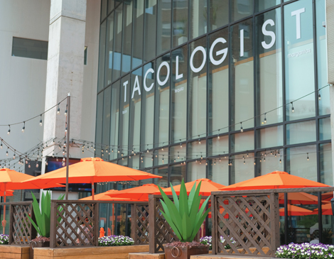 Tacologist Tacologist