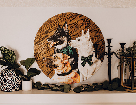 Lauren Heuer's Animal Portraits Lauren Heuer's Animal Portraits
