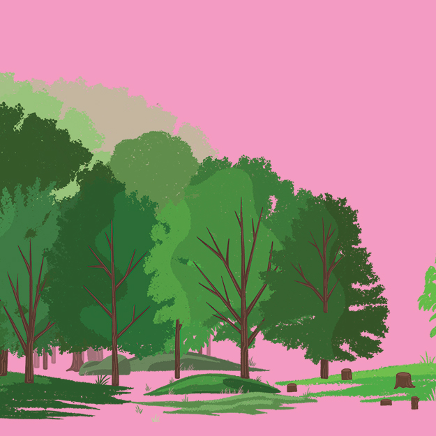 How Cleveland Plans To Grow Its Tree Canopy By 2040