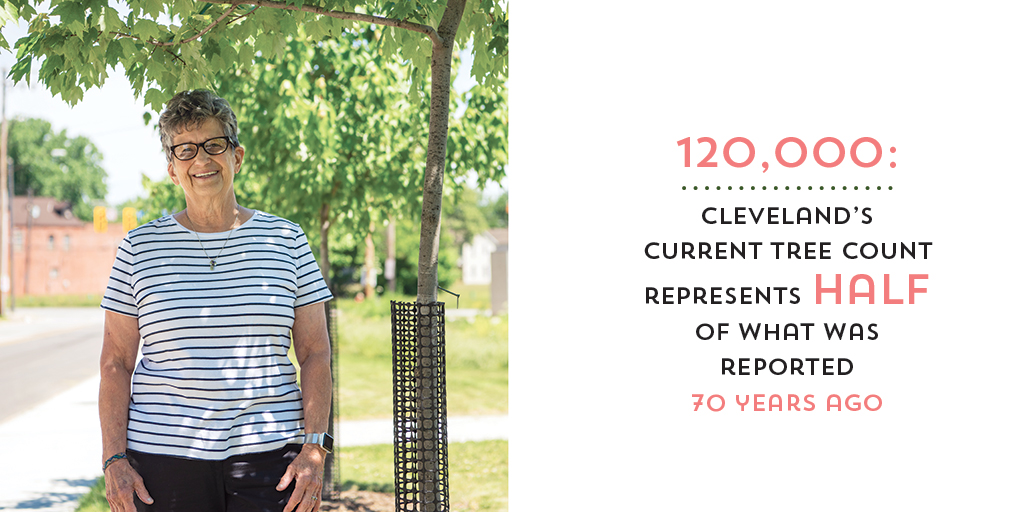 How Cleveland Plans To Grow Its Tree Canopy By 2040