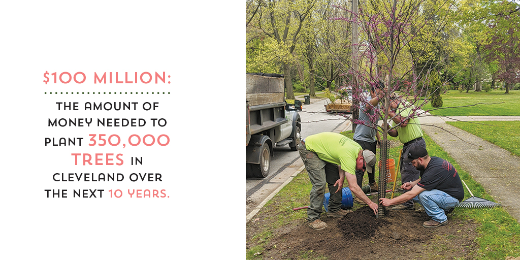 How Cleveland Plans To Grow Its Tree Canopy By 2040