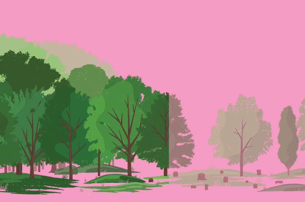 How Cleveland Plans To Grow Its Tree Canopy By 2030