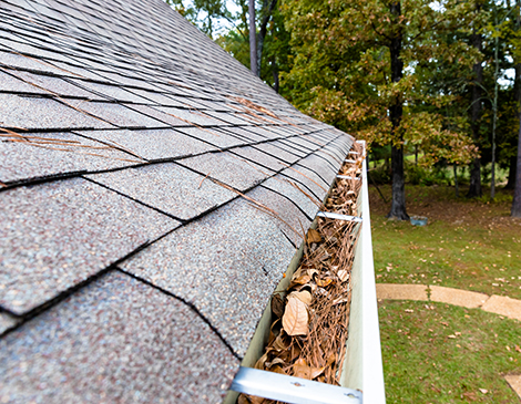 Gutter Maintenance Gutter Maintenance