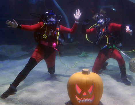 Cleveland Aquarium