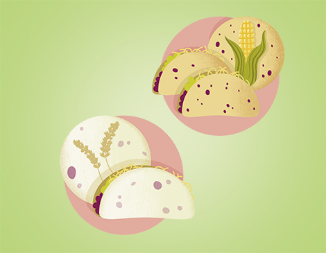 Corn v Flour Tortilla Corn v Flour Tortilla