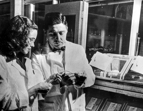 Helen and Alfred Free