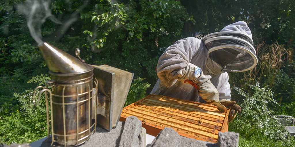 Akron Honey Akron Honey