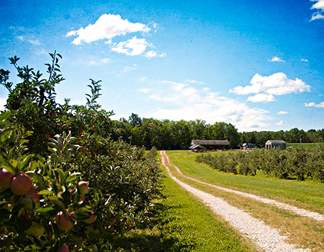 Patterson Fruit Farm