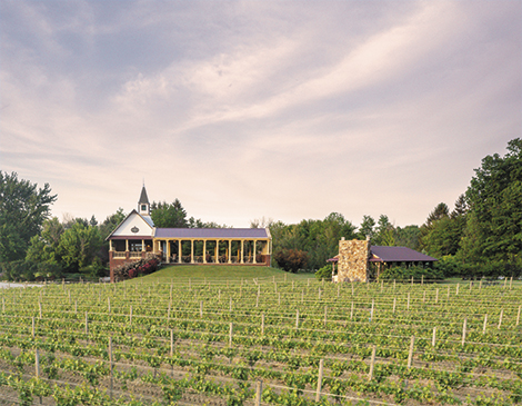 South River Vineyard South River Vineyard