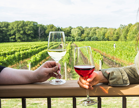 Tips for wine tasting Tips for wine tasting