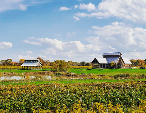 Vermilion Valley Sustainable Ohio Vineyards