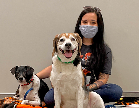 Cleveland Pet Guide: A List Of Northeast Ohio Animal Shelters Cleveland Pet Guide: A List Of Northeast Ohio Animal Shelters