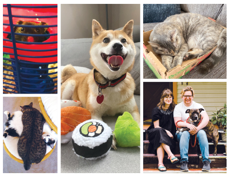 Pet Lover's Guide Pet Lover's Guide