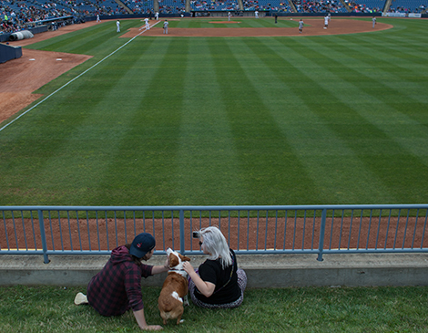 Lake County Captains