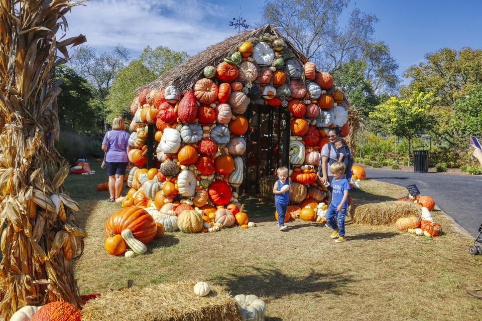 Pumpkin House
