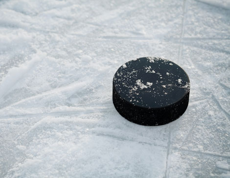 Hockey Puck Hockey Puck