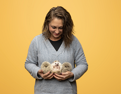 Stacy Edelstein and Jellybean, Beck and Bianca, the hedgehogs Stacy Edelstein and Jellybean, Beck and Bianca, the hedgehogs