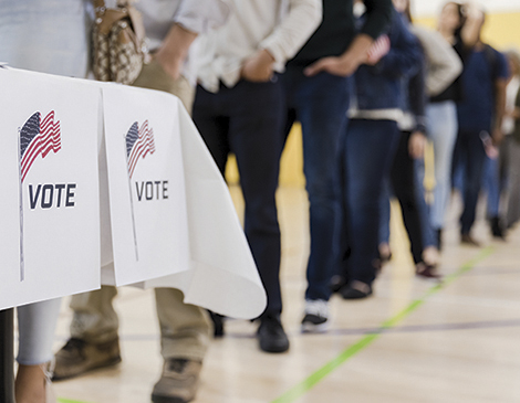 VoterLine_Article