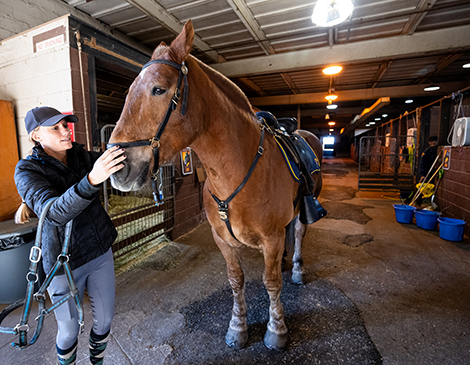 Cleveland's Mounted Police Cleveland's Mounted Police