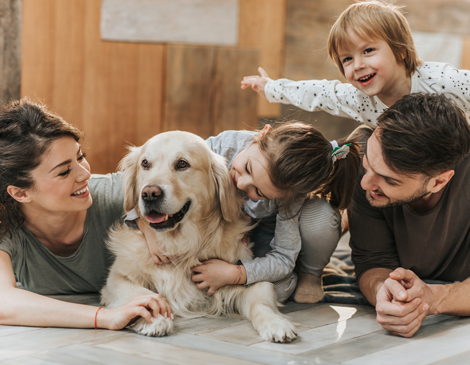 5 Tips To Get Your Home Ready For A New Pet 5 Tips To Get Your Home Ready For A New Pet