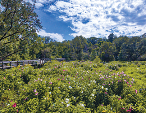 Nature Center Shaker Heights