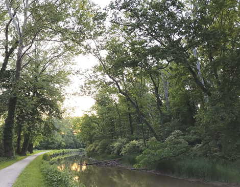 article_The-Canal article_The-Canal