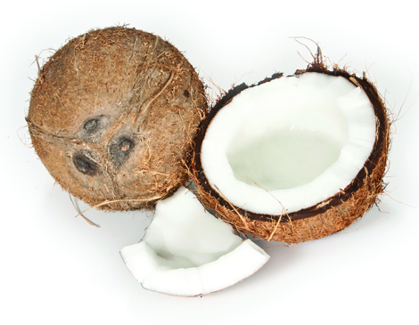 Coconuts Coconuts
