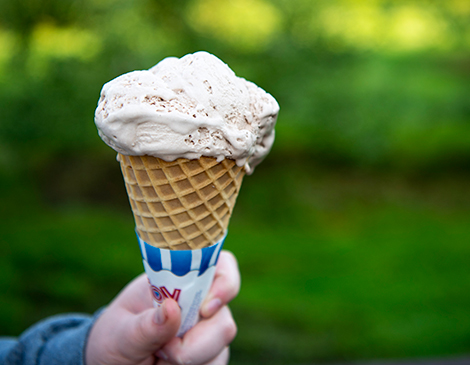Country Maid Ice Cream 