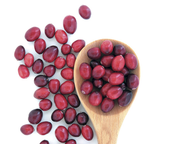 Cranberries Cranberries