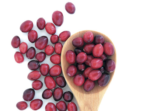 Cranberries  Cranberries