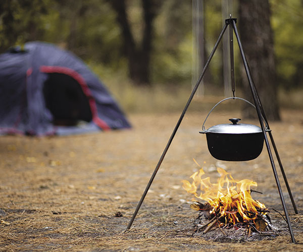 Follow these tips for the perfect s'more, how to spot poison ivy and more.  Follow these tips for the perfect s'more, how to spot poison ivy and more.