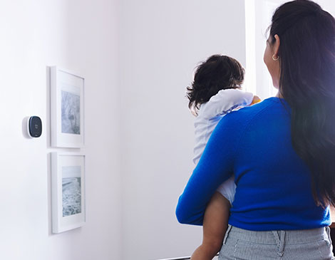 From Ring to Google Nest and more, we break down which smart home devices are best for you.  From Ring to Google Nest and more, we break down which smart home devices are best for you.